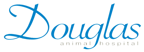 Logo with the words "Douglas animal hospital" in blue and white cursive and lowercase letters.